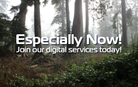 Join ZIM Digital Services