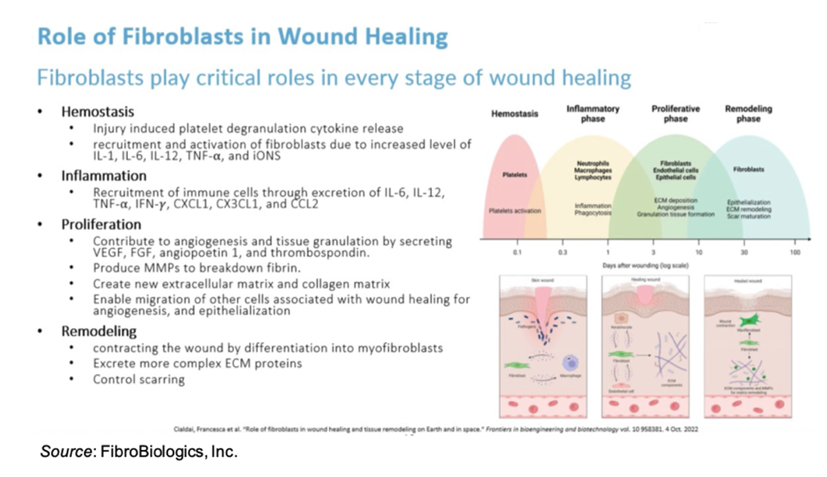FBLG: Advancing Fibroblast Therapy on Multiple Fronts