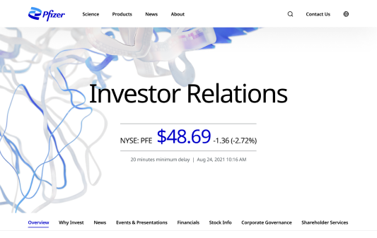 Website Example in Browser